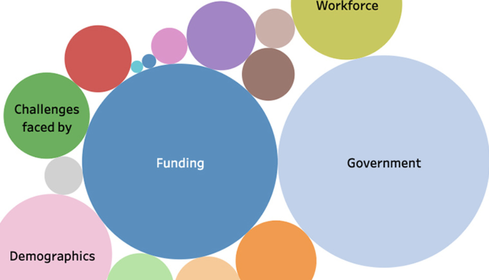 Data visualization: ICDA Not-for-Profit Governance Roadmap 2020